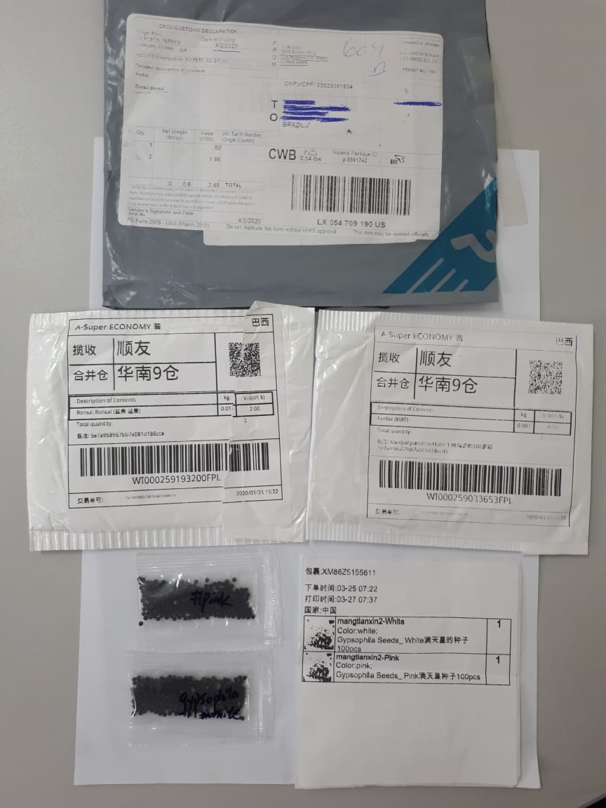 Sementes das China