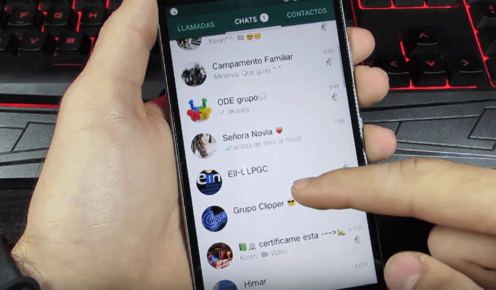 WhatsApp Perfil