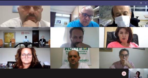 Reunião online com diretores da Copel