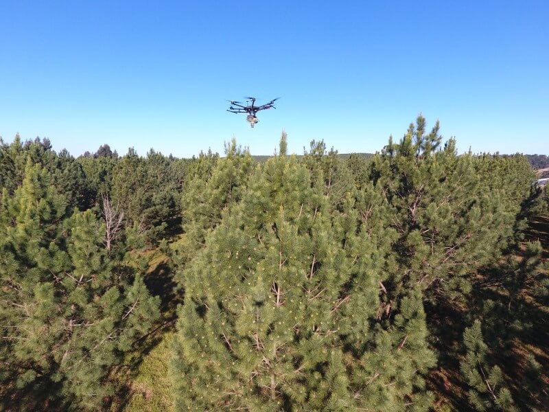 Drone