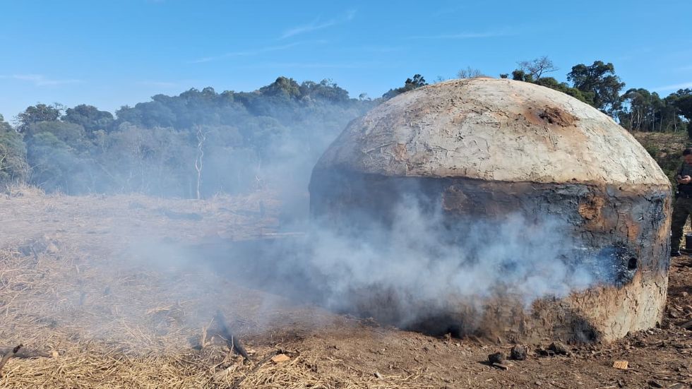 Forno de carvão vegetal em funcionamento, com fumaça saindo da estrutura, em uma área rural de Pinhão.