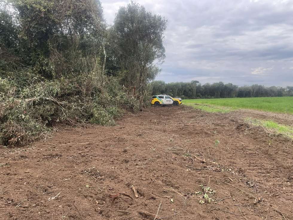 : Área de vegetação nativa parcialmente suprimida, com solo exposto, galhos acumulados e uma viatura da Polícia Militar Ambiental durante fiscalização na zona rural de Pinhão.